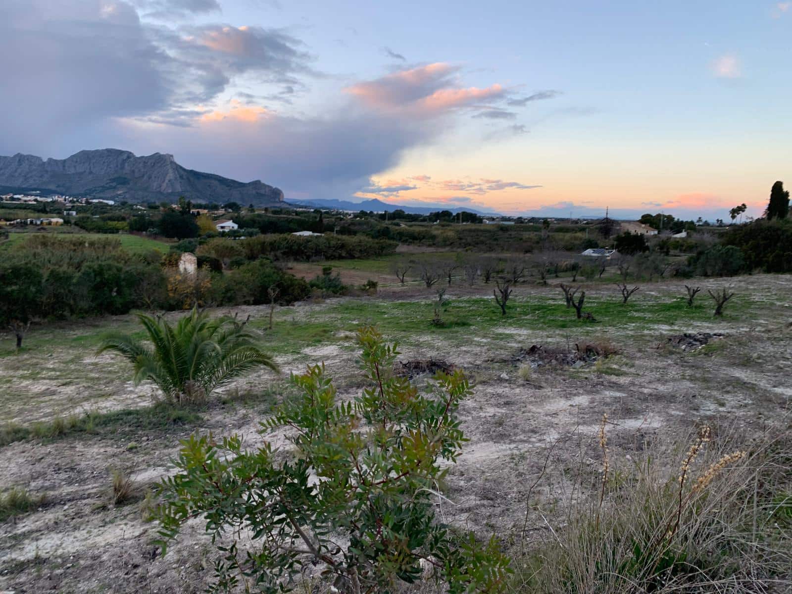 Terrain à Bâtir à vendre à Denia - 215 000 € (Ref: 9758207)