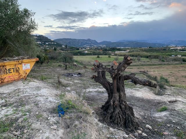 Terrain à Bâtir à vendre à Dénia - 215 000 € (Ref: 9758207)