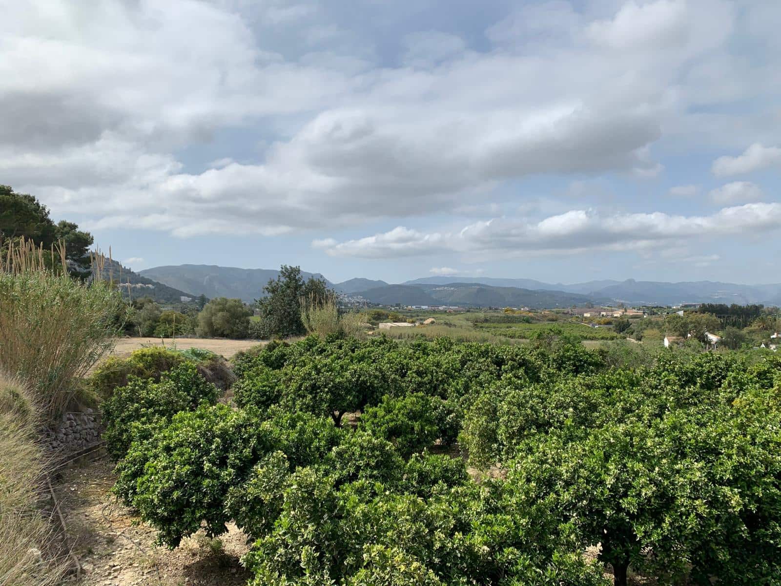 Terrain à Bâtir à vendre à Denia - 215 000 € (Ref: 9758207)