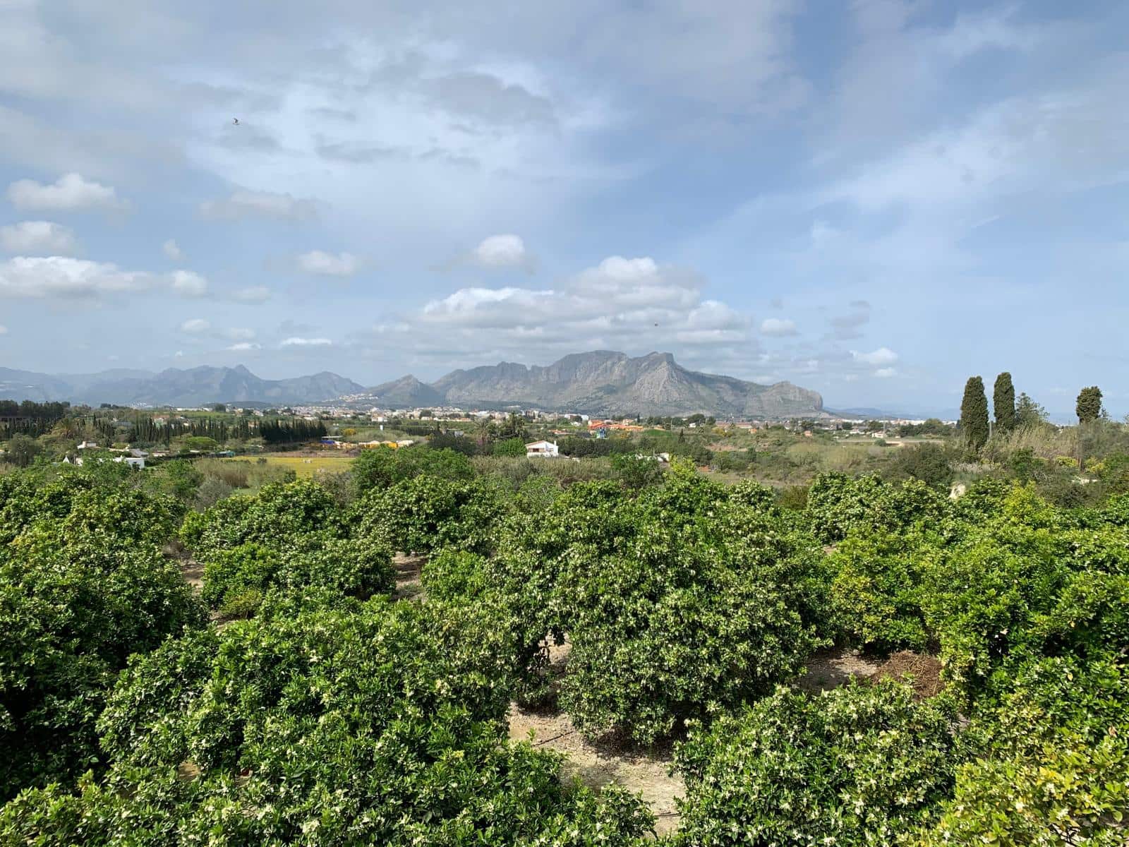 Terrain à Bâtir à vendre à Denia - 215 000 € (Ref: 9758207)