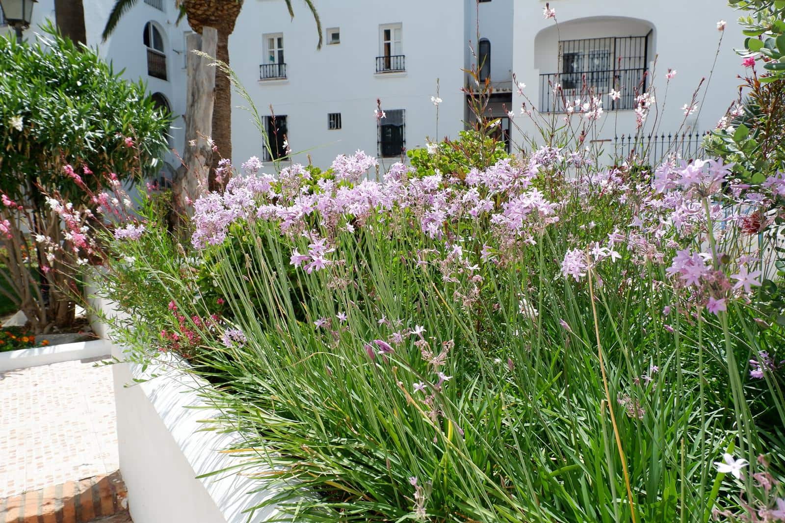 Apartamento de 2 habitaciones en Manilva en venta con piscina - 239.950 € (Ref: 10009583)