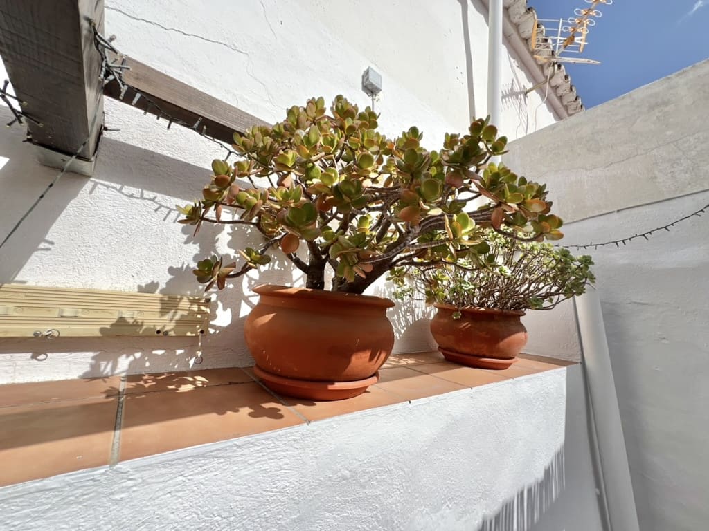 2 Zimmer Haus zu verkaufen in Casarabonela - 129.950 € (Ref: 10022907)