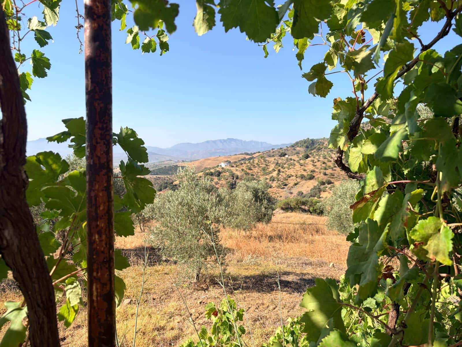 Finca/Country House for sale in Casarabonela - € 107,500 (Ref: 10072696)