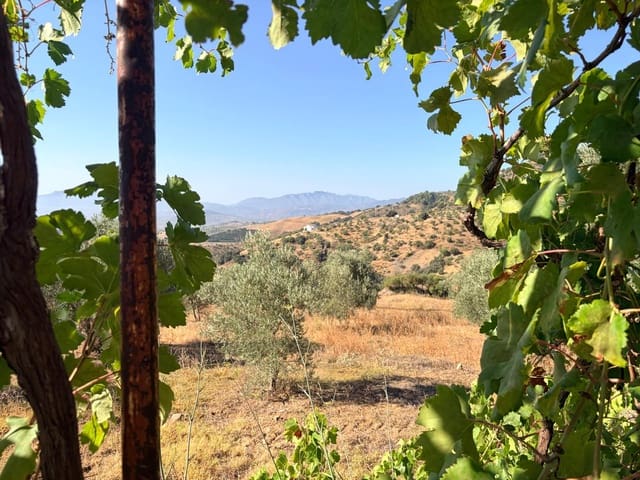 Quinta/Casa Rural para venda em Casarabonela - 107 500 € (Ref: 10072696)