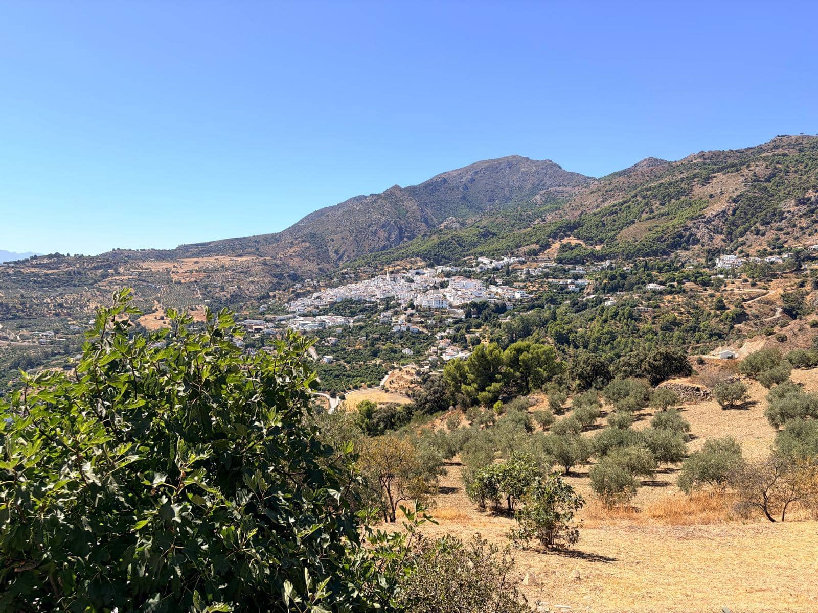 3 bedroom Finca/Country House for sale in Casarabonela with pool garage - € 274,950 (Ref: 10103530)