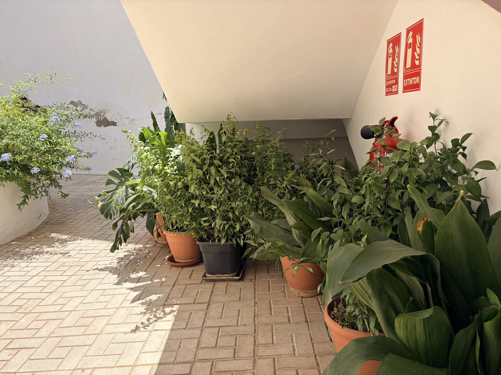 2 bedroom Apartment for sale in Casarabonela - € 128,950 (Ref: 10155871)
