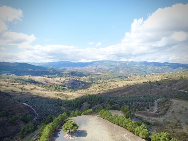 Mark till salu i Casarabonela - 320 000 € (Ref: 9401007)