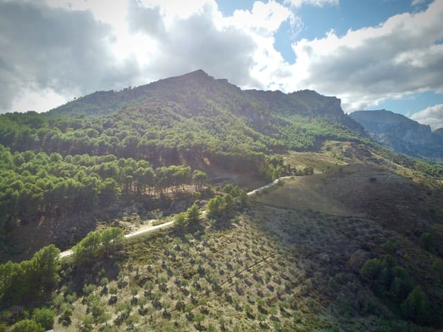 Mark till salu i Casarabonela - 320 000 € (Ref: 9401007)