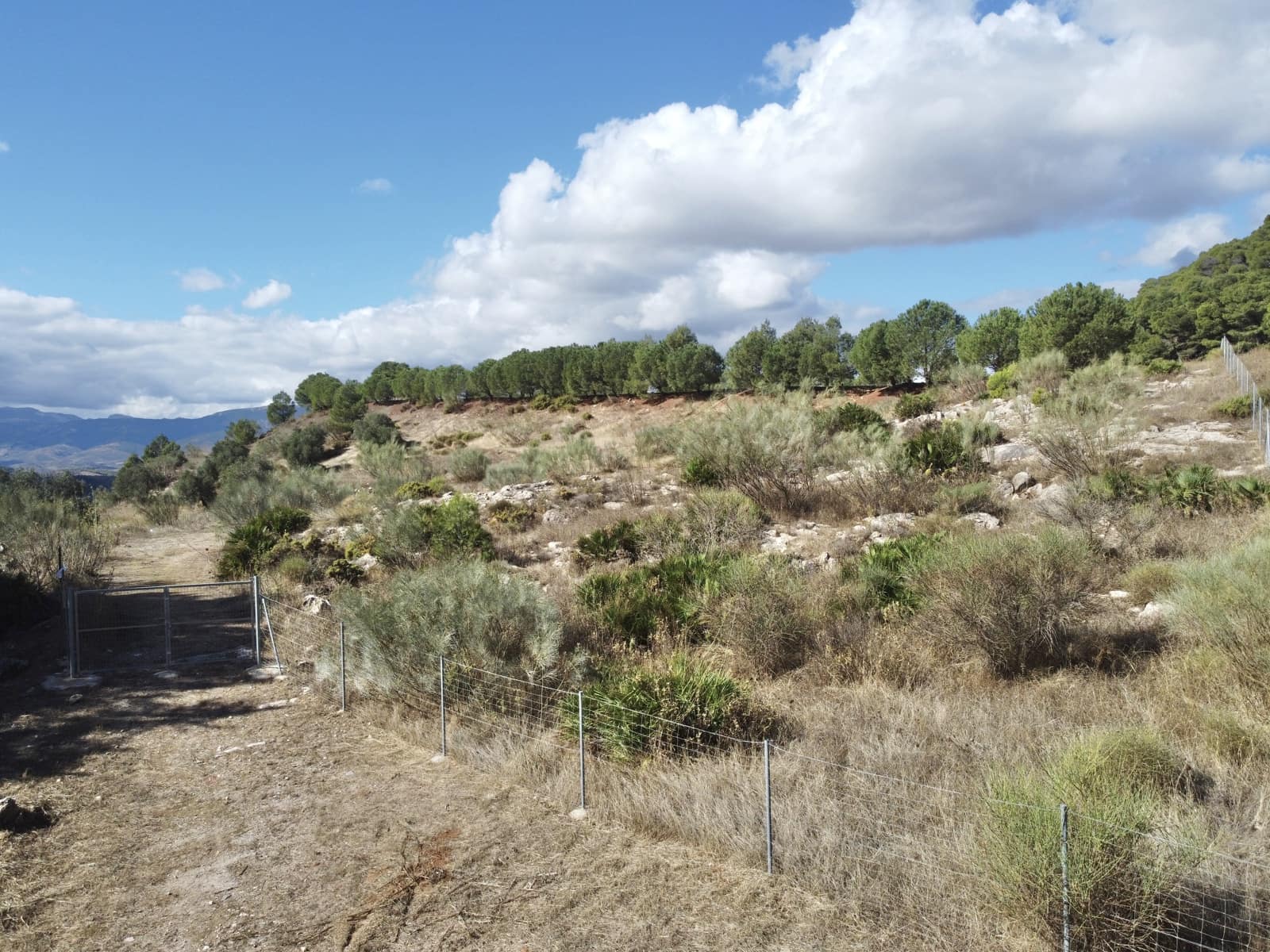 Grunde uden byggetilladelser til salg i Casarabonela - € 320.000 (Ref: 9401007)