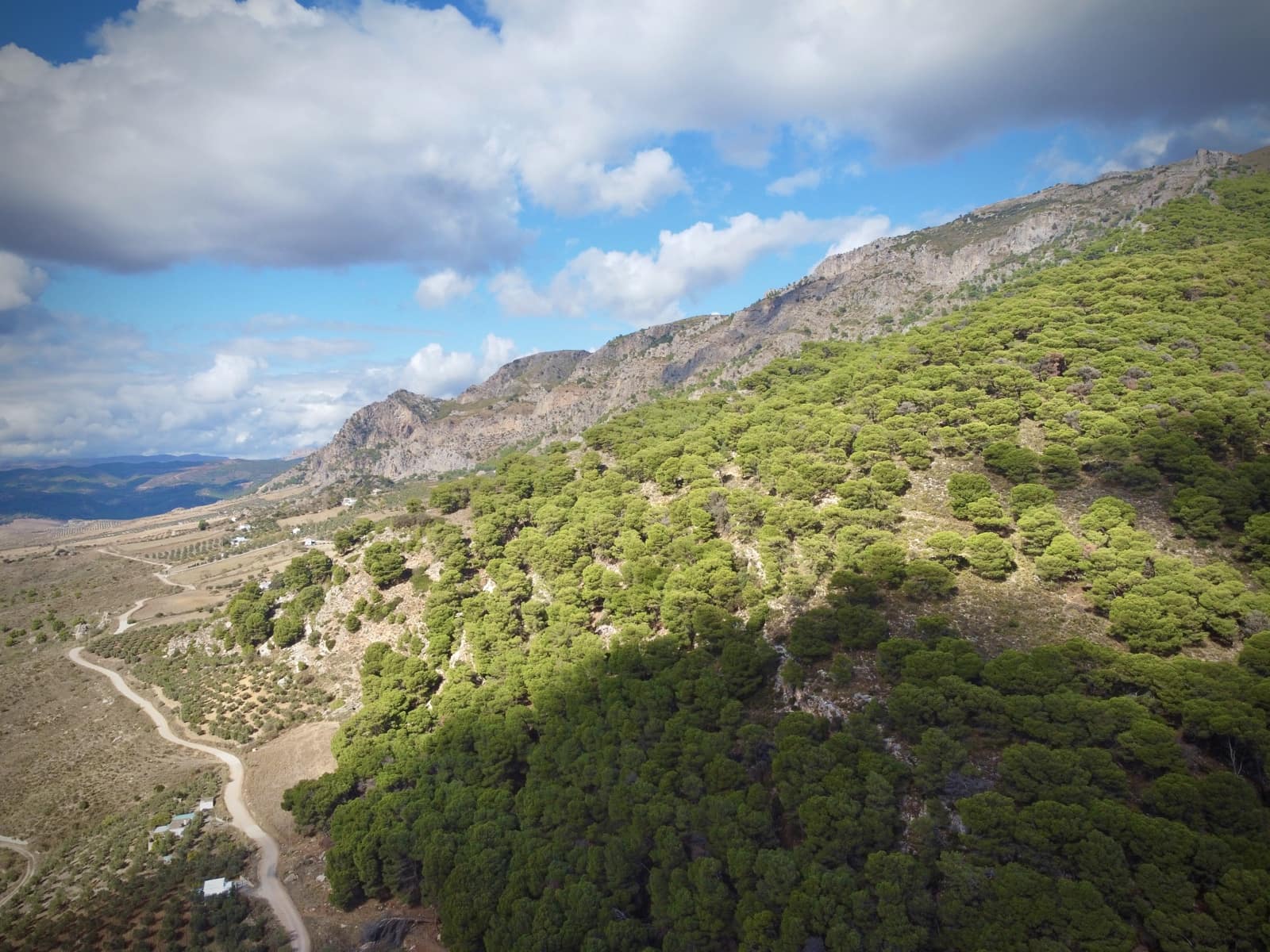 Grunde uden byggetilladelser til salg i Casarabonela - € 320.000 (Ref: 9401007)