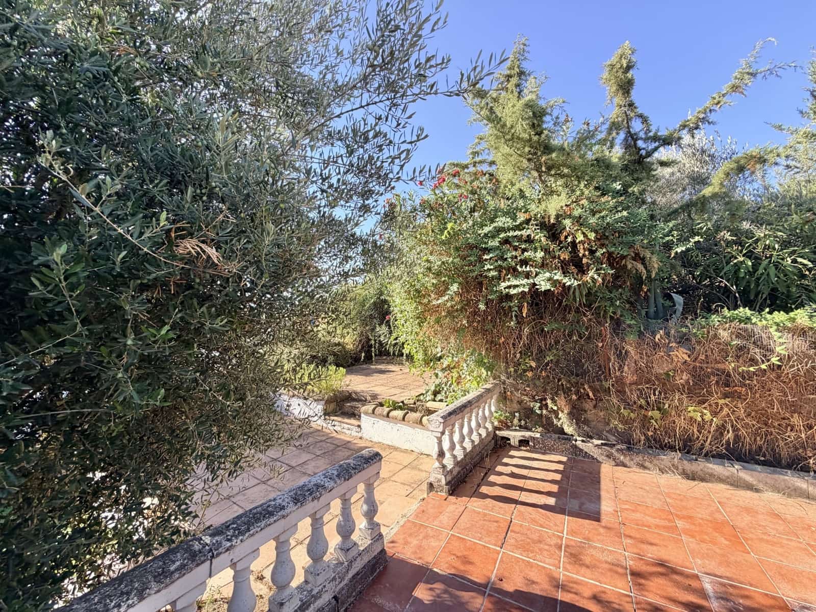 3 sovrum Hus till salu i Pruna - 74 950 € (Ref: 9409736)