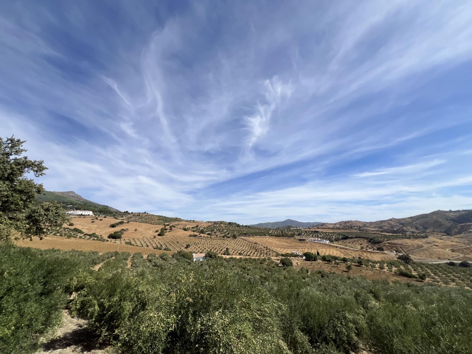 4 sypialnia Finka/Dom wiejski na sprzedaż w Casarabonela z basenem - 320 000 € (Ref: 9409740)