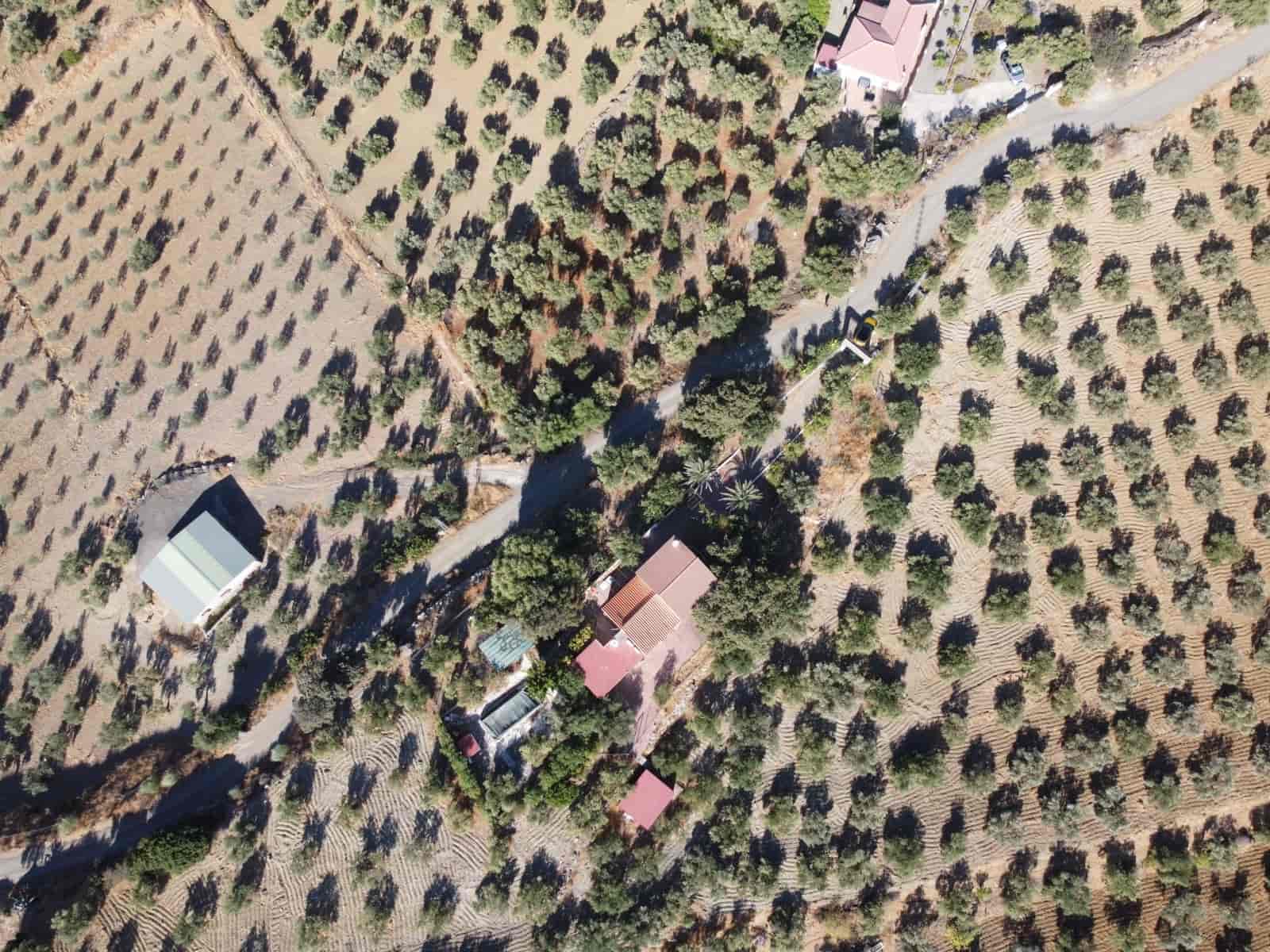 4 sypialnia Finka/Dom wiejski na sprzedaż w Casarabonela z basenem - 320 000 € (Ref: 9409740)