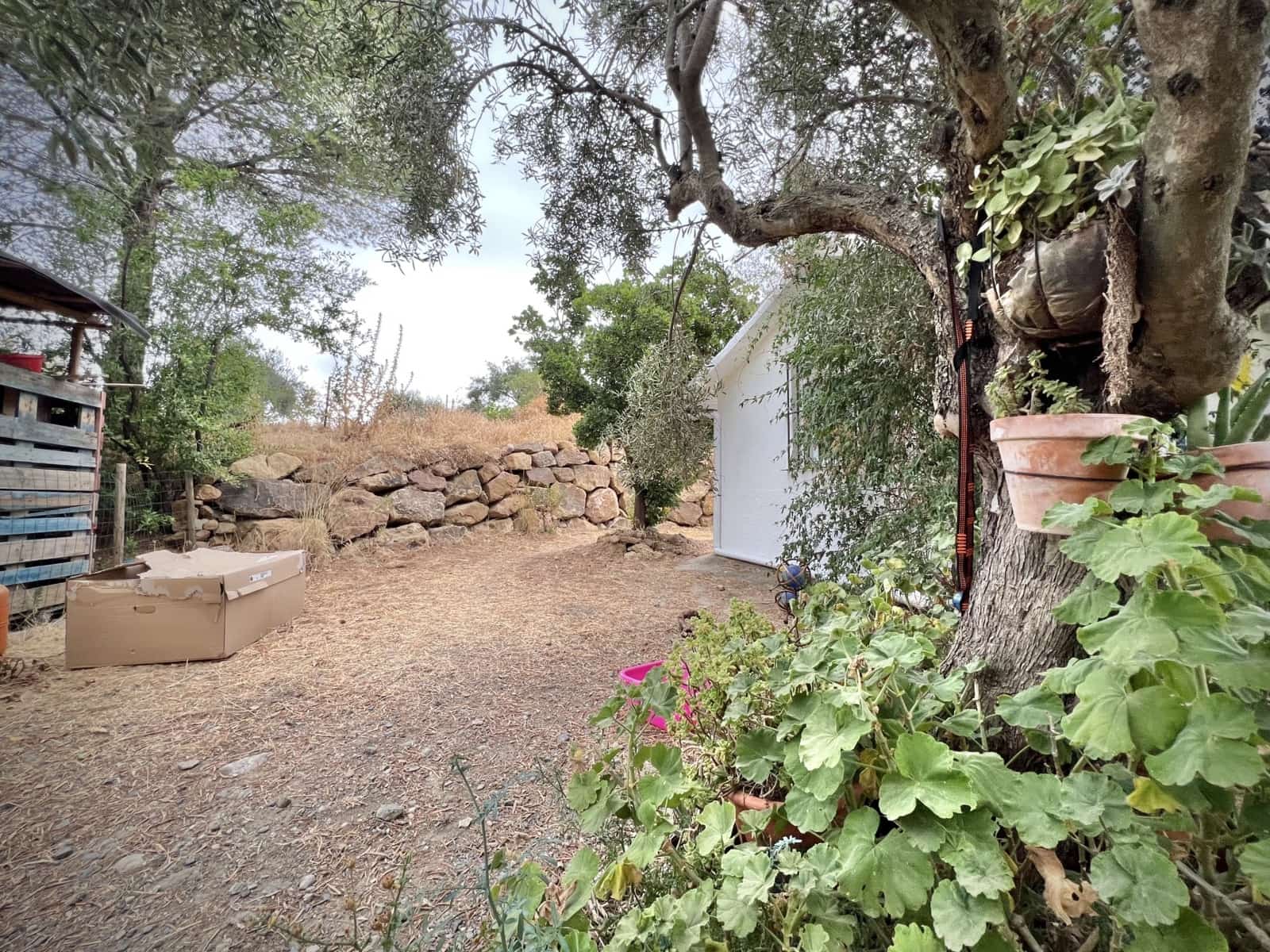 1 sovrum Finca/Hus på landet till salu i Casarabonela med pool - 165 000 € (Ref: 9409741)