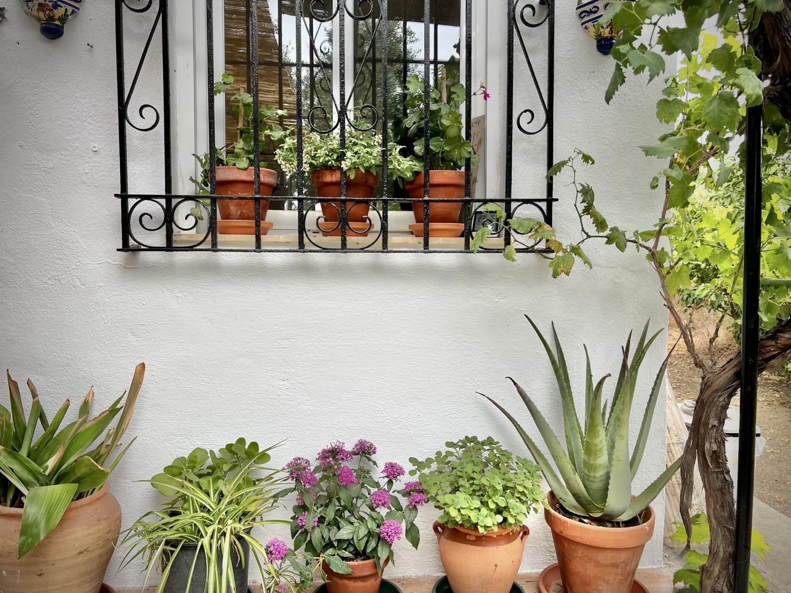 1 sovrum Finca/Hus på landet till salu i Casarabonela med pool - 165 000 € (Ref: 9409741)