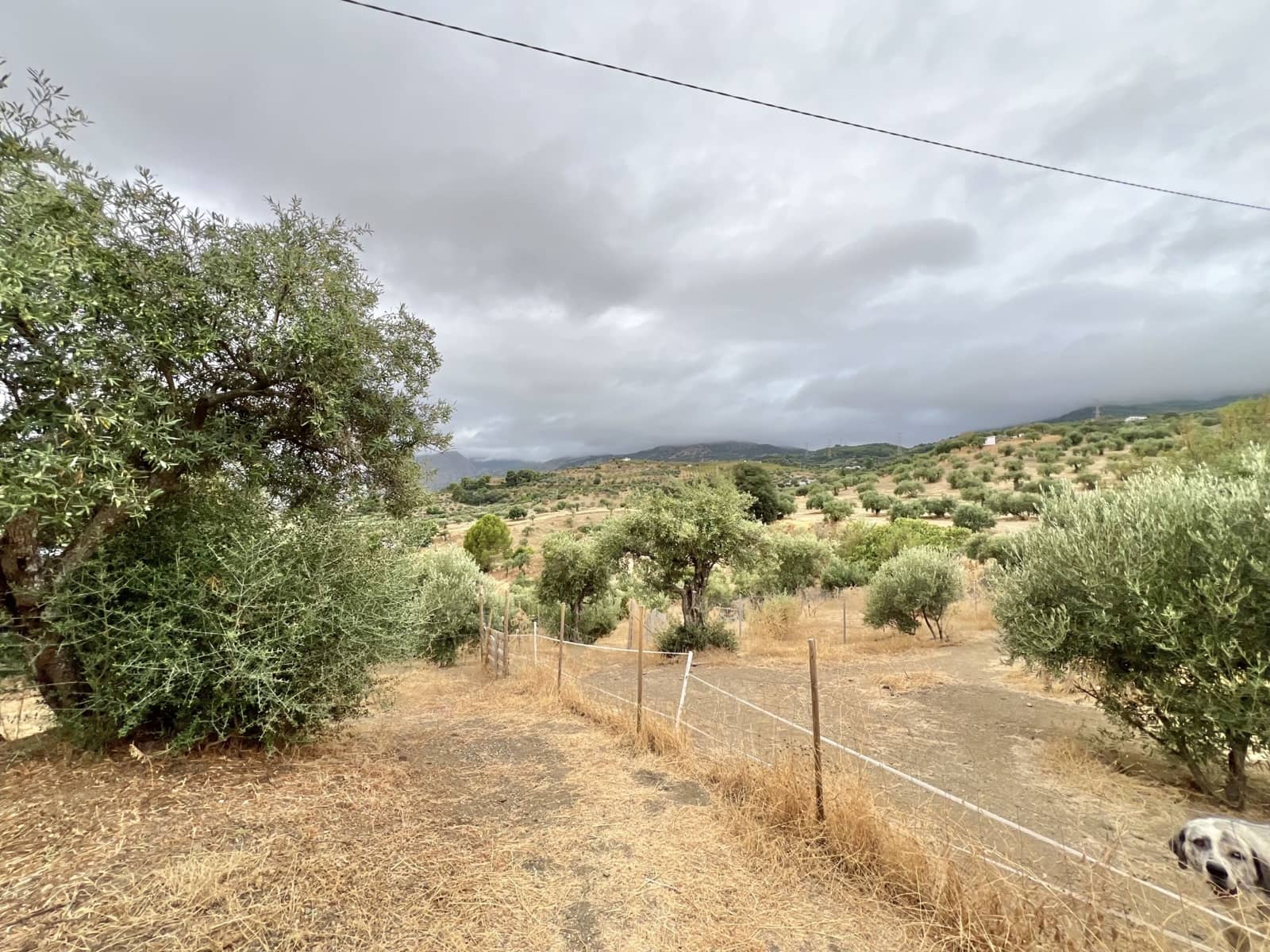 1 sovrum Finca/Hus på landet till salu i Casarabonela med pool - 165 000 € (Ref: 9409741)