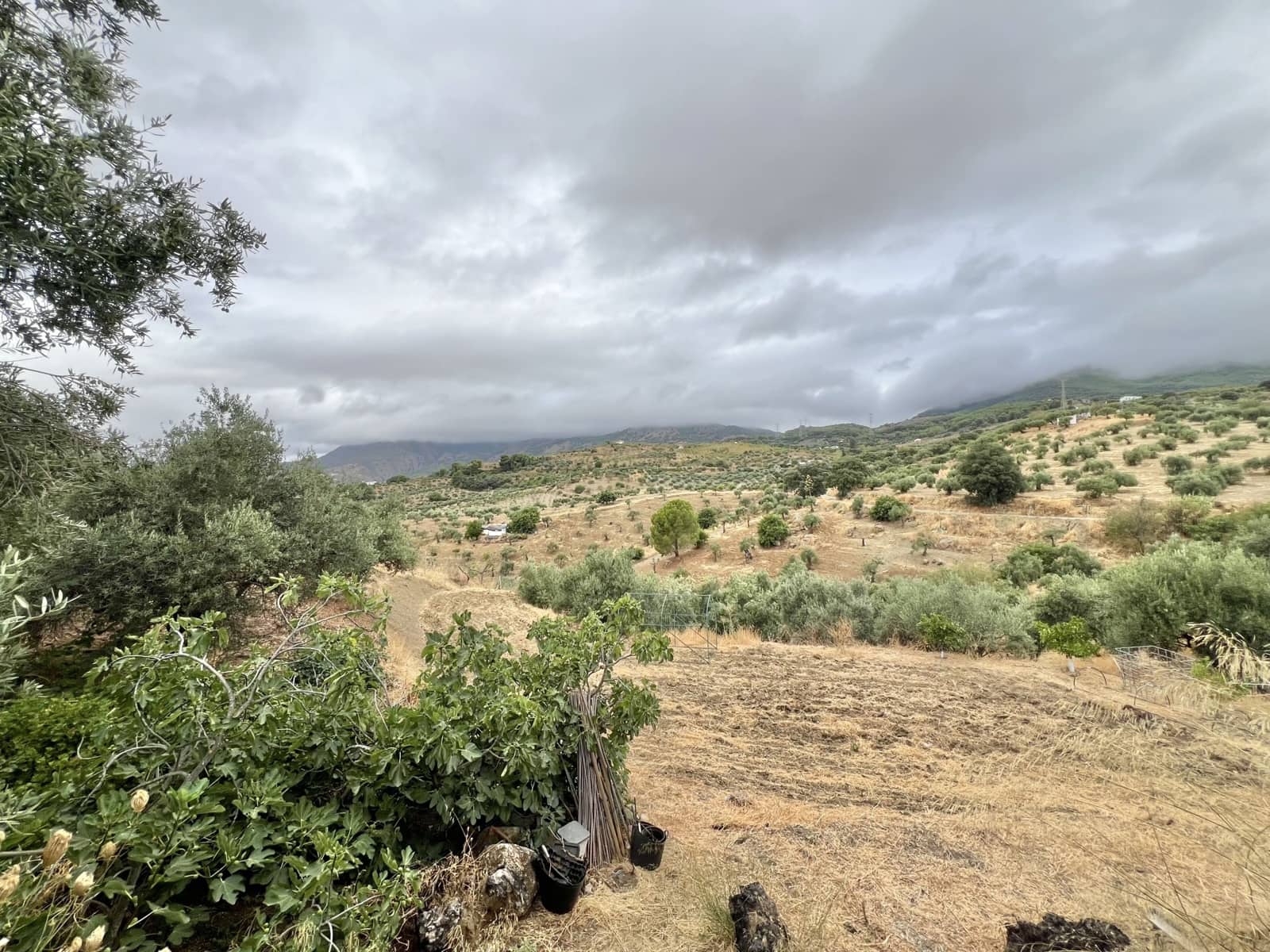 1 sovrum Finca/Hus på landet till salu i Casarabonela med pool - 165 000 € (Ref: 9409741)