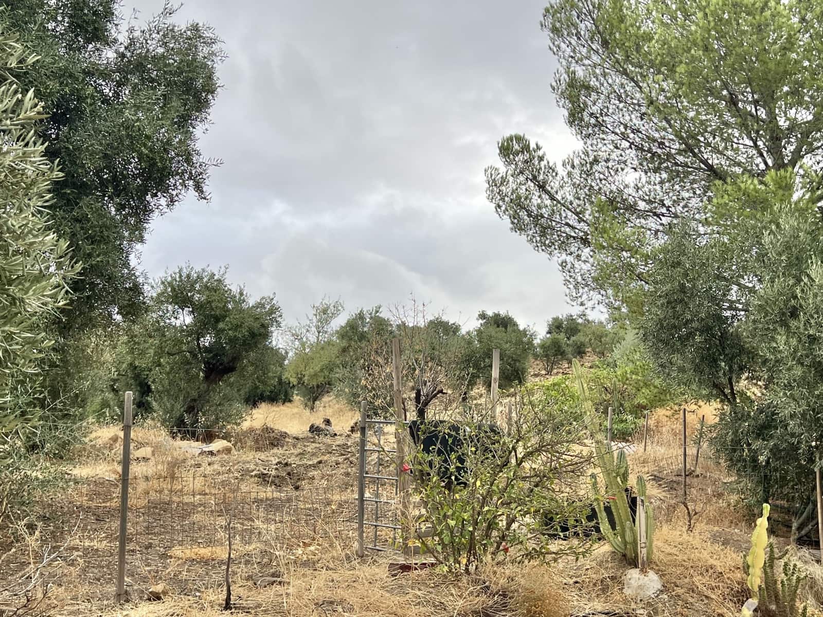 1 sovrum Finca/Hus på landet till salu i Casarabonela med pool - 165 000 € (Ref: 9409741)