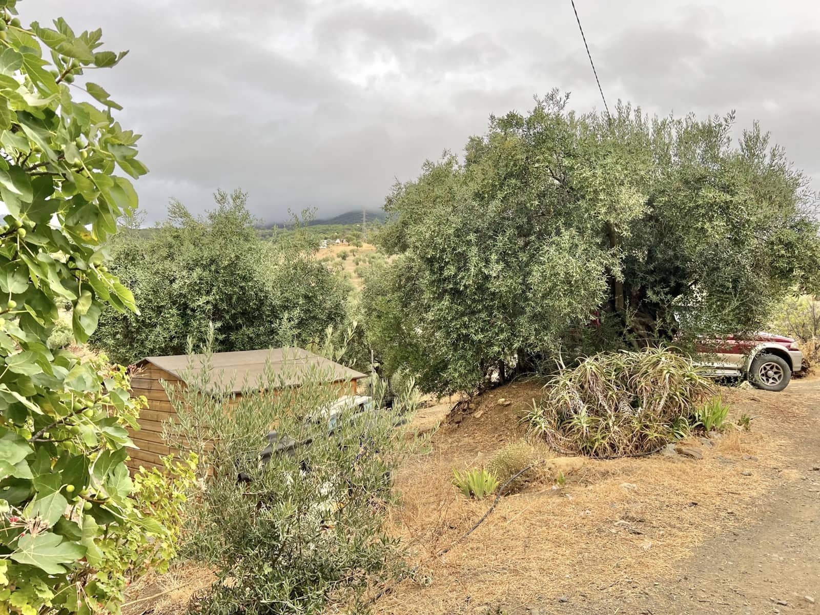 1 sovrum Finca/Hus på landet till salu i Casarabonela med pool - 165 000 € (Ref: 9409741)