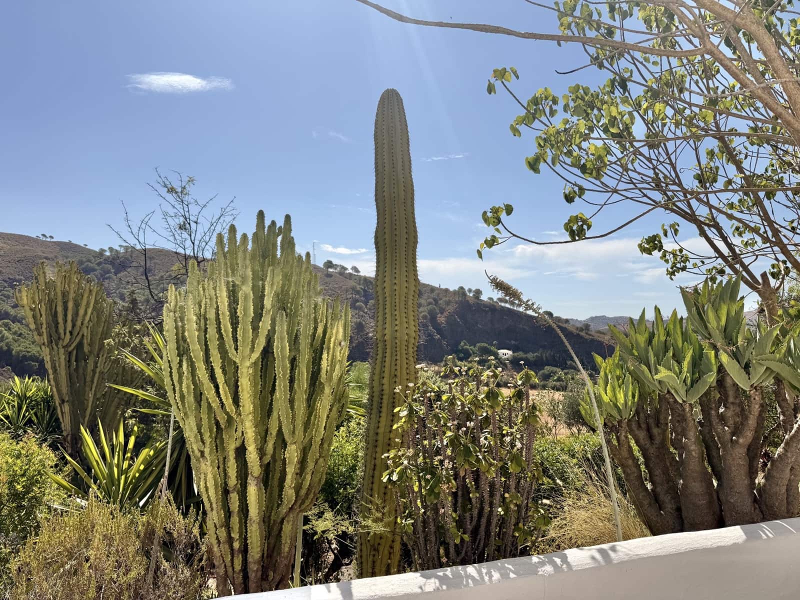 3 soveværelse Finca/Landehus til salg i Casarabonela med swimmingpool - € 800.000 (Ref: 9411294)