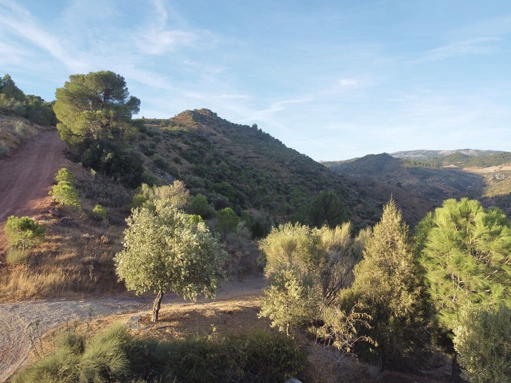 3 soveværelse Finca/Landehus til salg i Ardales med swimmingpool - € 350.000 (Ref: 9420027)