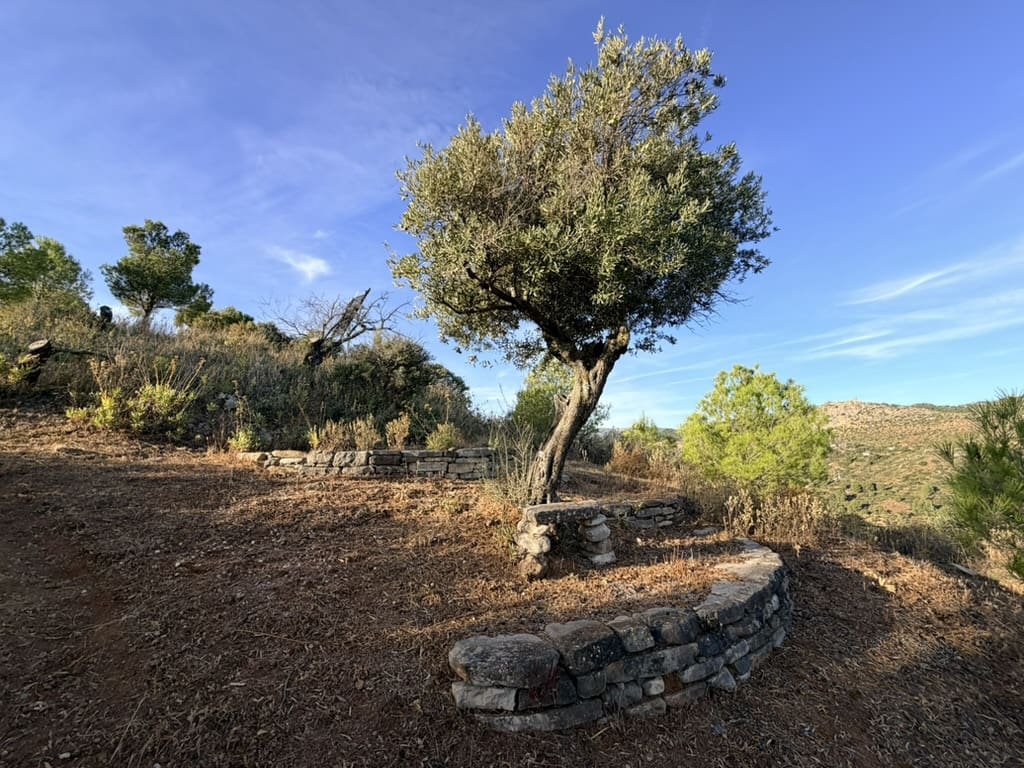 3 soveværelse Finca/Landehus til salg i Ardales med swimmingpool - € 350.000 (Ref: 9420027)