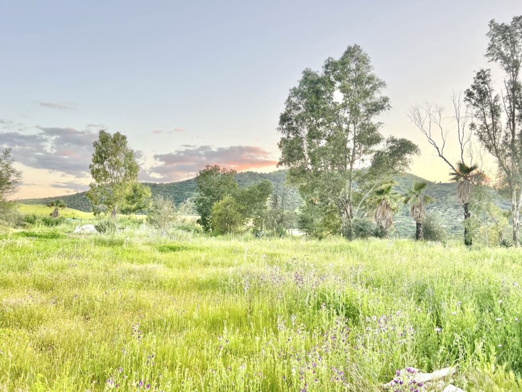 1 soverom Finca/Herregård til salgs i Pizarra - € 585 000 (Ref: 9444033)