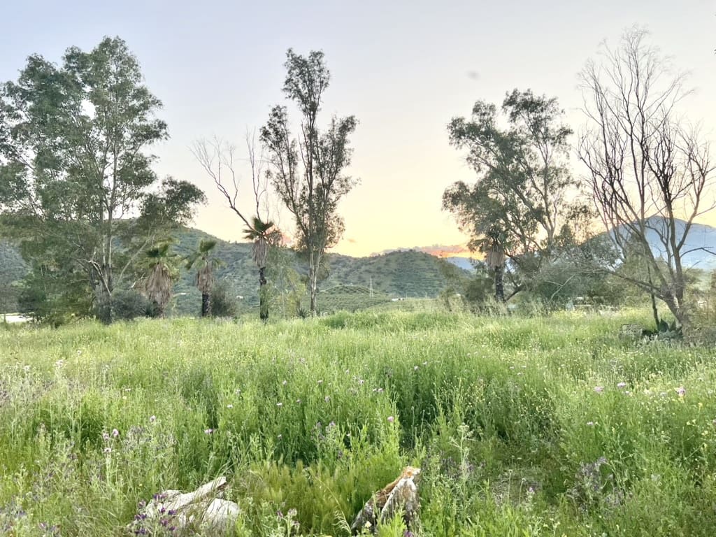 1 soverom Finca/Herregård til salgs i Pizarra - € 585 000 (Ref: 9444033)