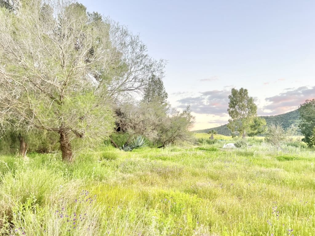 1 soverom Finca/Herregård til salgs i Pizarra - € 585 000 (Ref: 9444033)