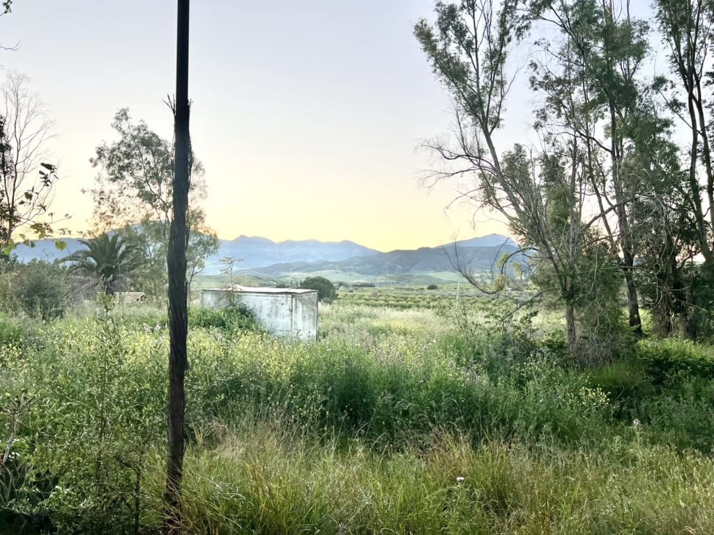 1 soverom Finca/Herregård til salgs i Pizarra - € 585 000 (Ref: 9444033)