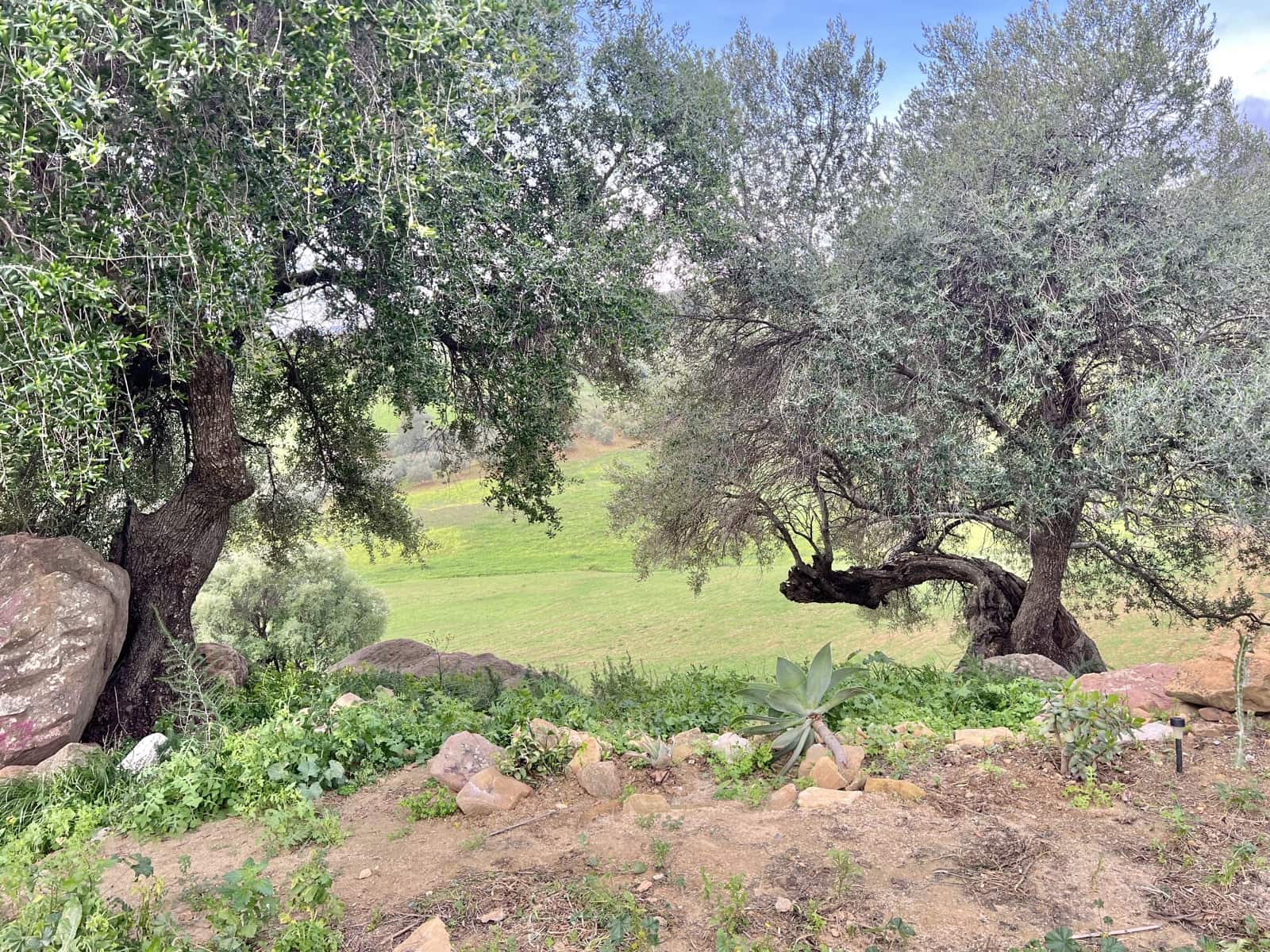 3 soveværelse Finca/Landehus til salg i Casarabonela med garage - € 320.000 (Ref: 9447098)