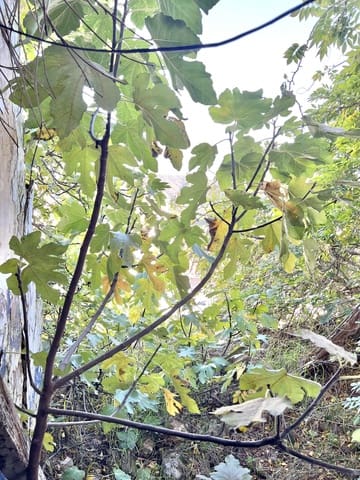 8 soveværelse Byhus til salg i Casarabonela - € 78.000 (Ref: 9449673)