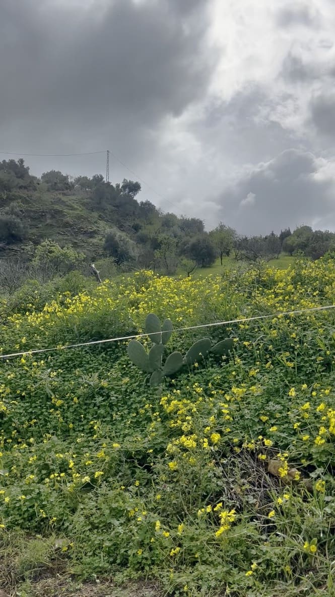 1 makuuhuone Maalaistalo myytävänä paikassa Casarabonela - 85 000 € (Ref: 9521456)