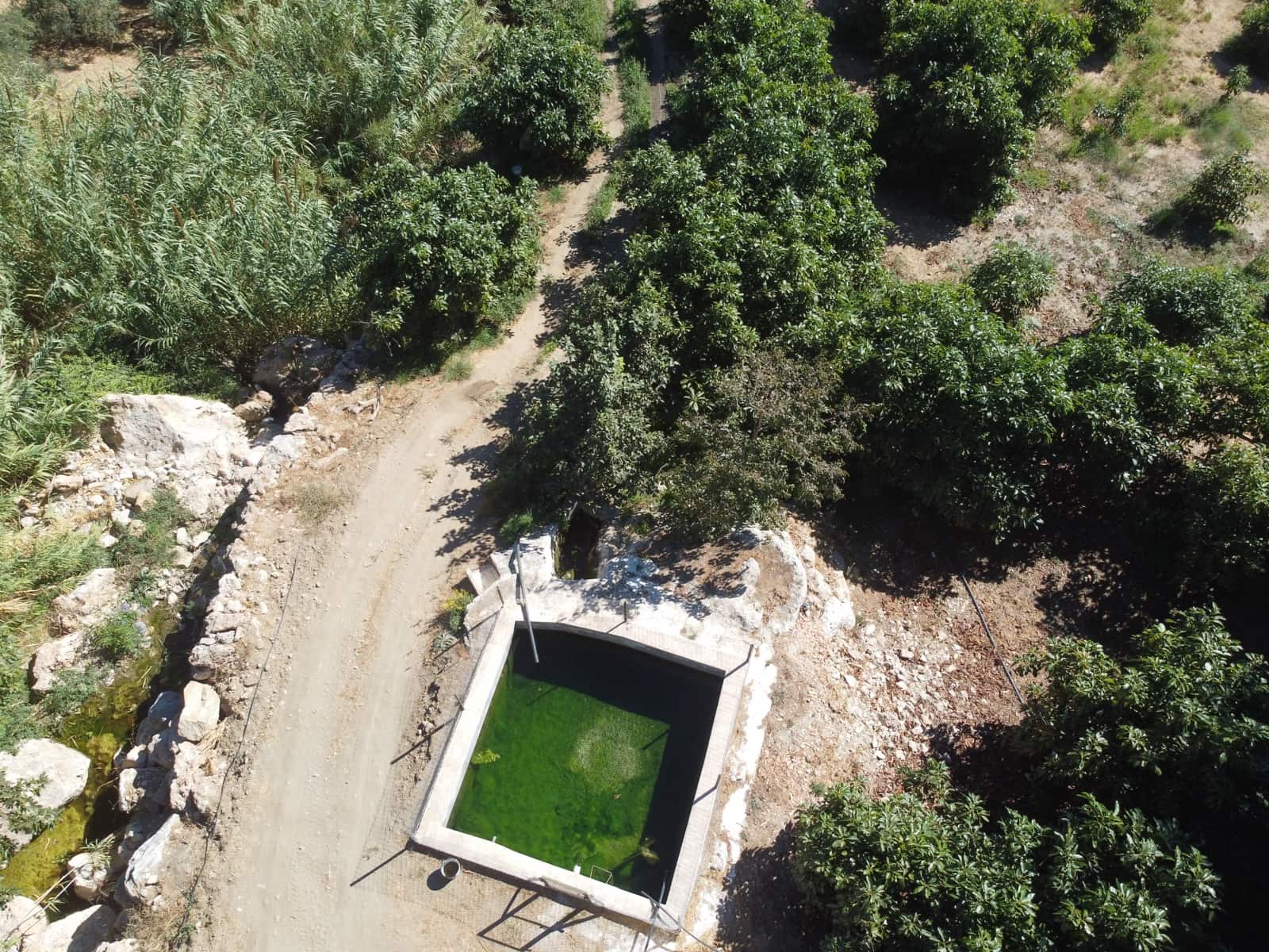 Ubebygd land til salgs i Casarabonela - € 290 000 (Ref: 9551973)