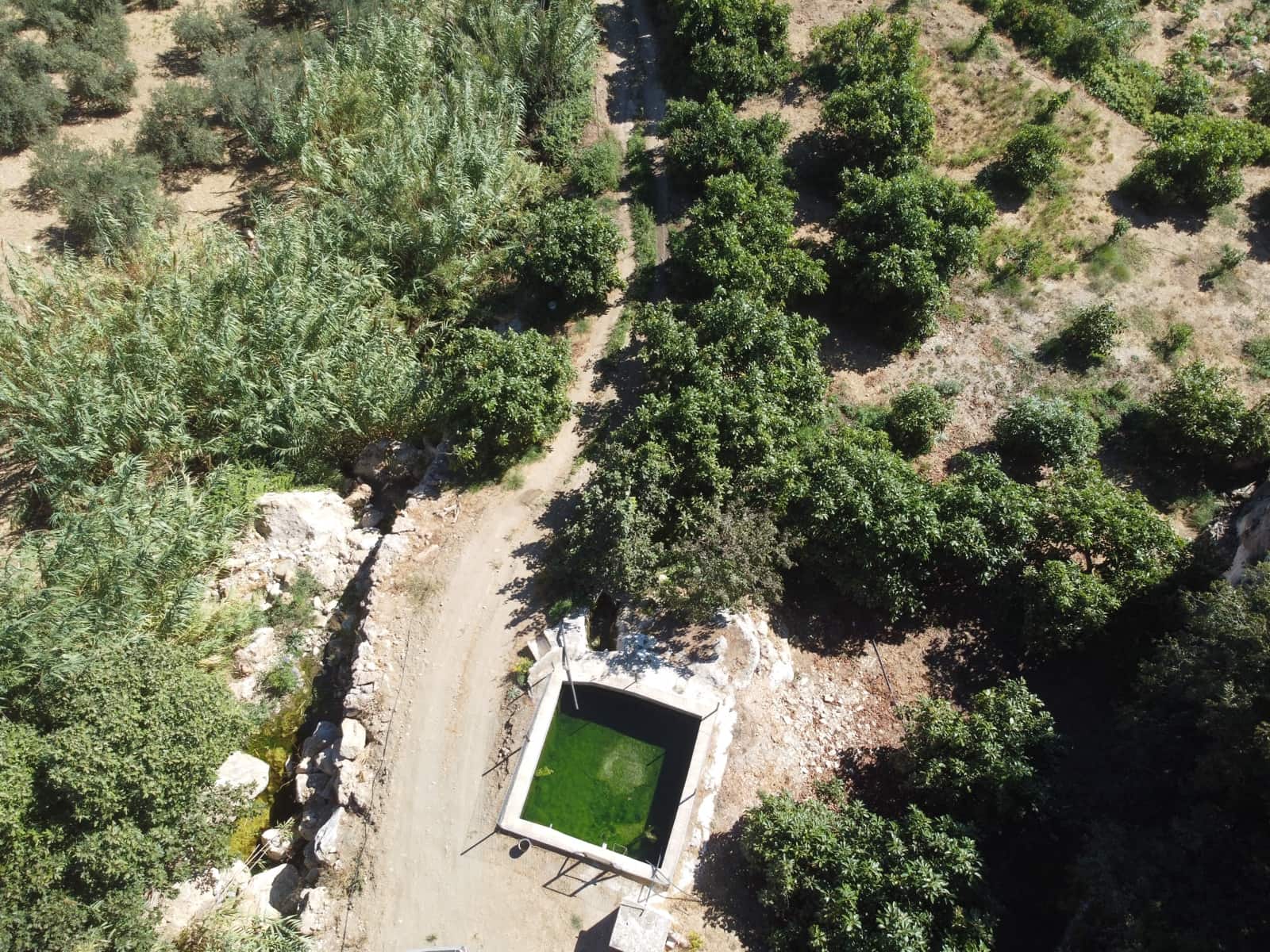 Ubebygd land til salgs i Casarabonela - € 290 000 (Ref: 9551973)