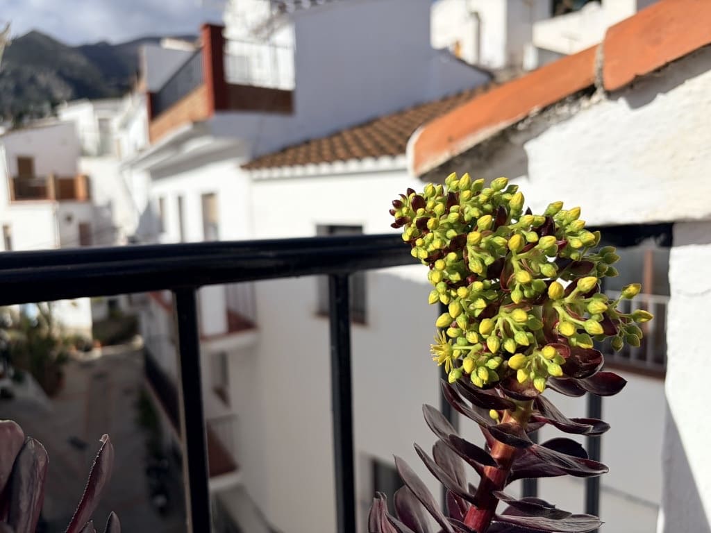 3 camera da letto Casa in vendita in Casarabonela - 134.950 € (Rif: 9558806)