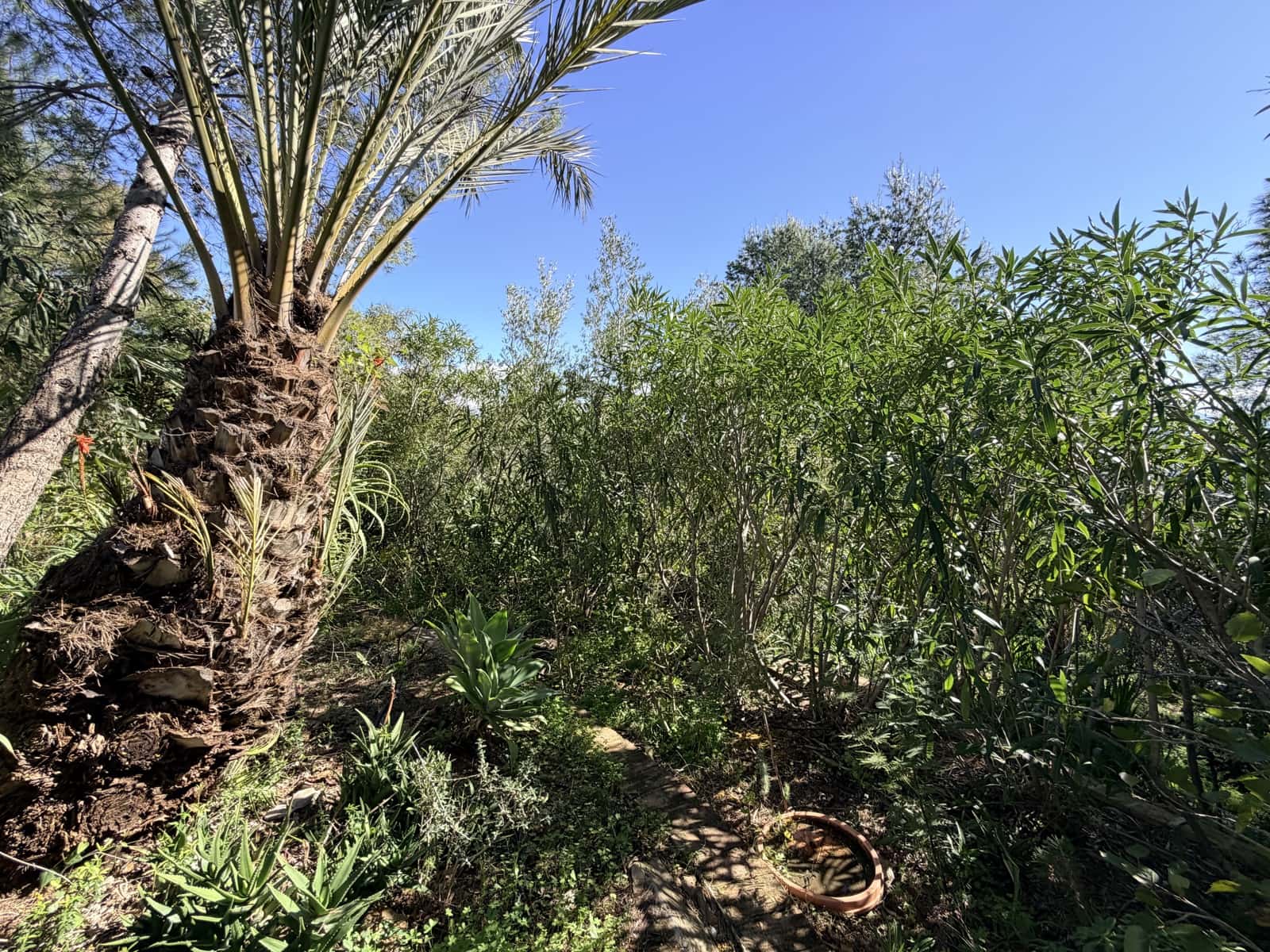 2 soverom Finca/Herregård til salgs i Casarabonela med garasje - € 349 950 (Ref: 9632766)