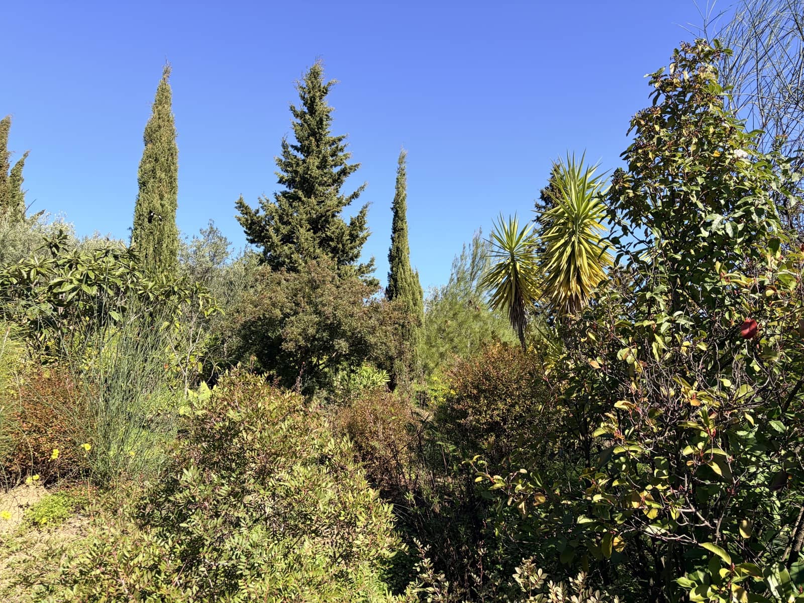 2 soverom Finca/Herregård til salgs i Casarabonela med garasje - € 349 950 (Ref: 9632766)