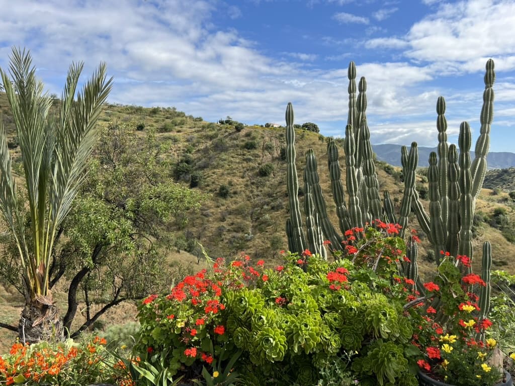 7 chambre Finca/Maison de Campagne à vendre à Casarabonela avec piscine garage - 749 000 € (Ref: 9715209)