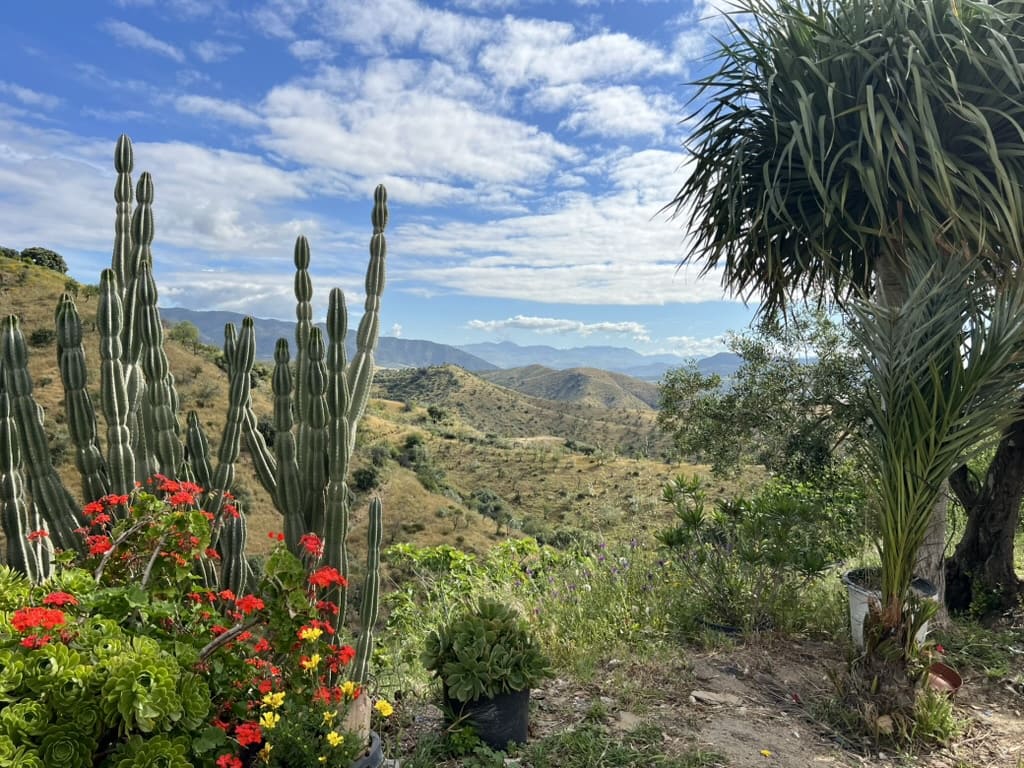 7 chambre Finca/Maison de Campagne à vendre à Casarabonela avec piscine garage - 749 000 € (Ref: 9715209)