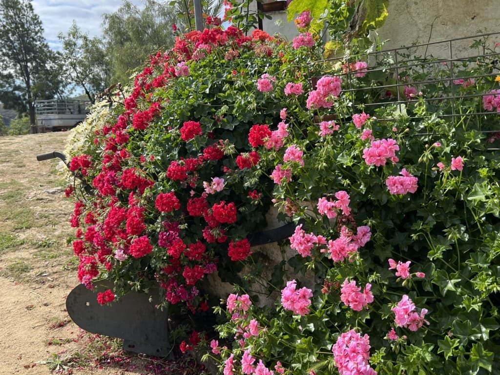 7 chambre Finca/Maison de Campagne à vendre à Casarabonela avec piscine garage - 749 000 € (Ref: 9715209)