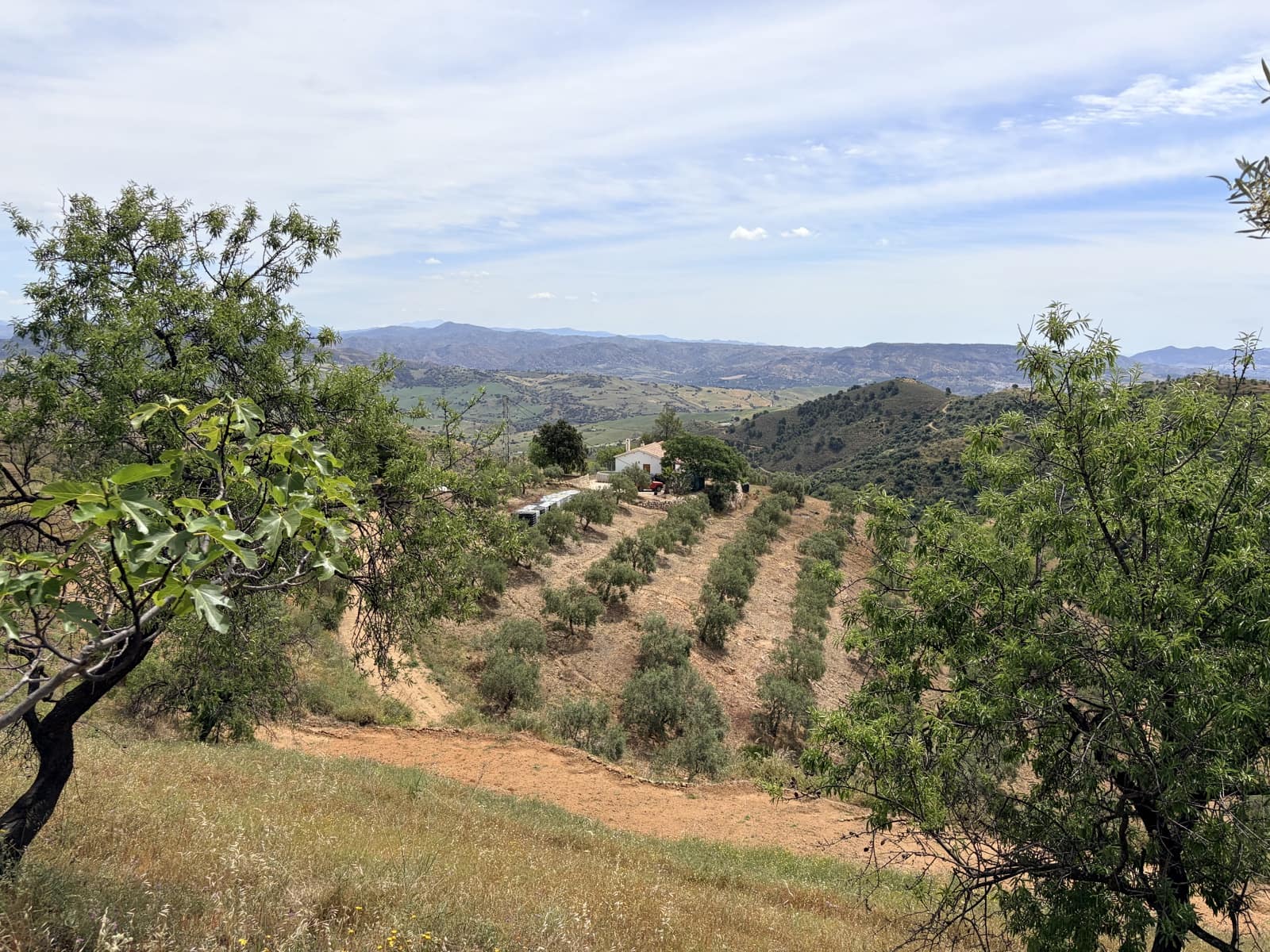 2 soverom Finca/Herregård til salgs i Casarabonela med garasje - € 144 950 (Ref: 9854322)
