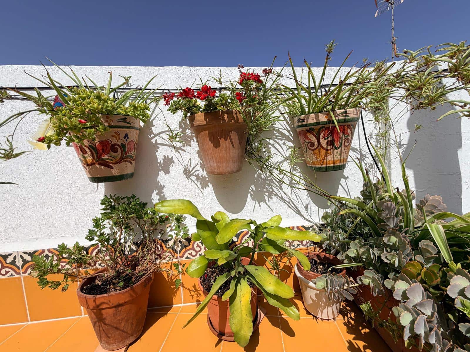 3 quarto Casa em Banda para venda em Pruna - 69 950 € (Ref: 9987291)