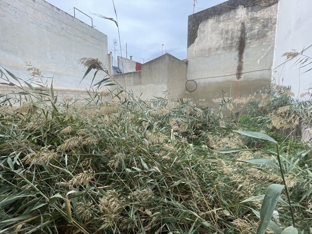 Kommersiell til salgs i Dolores - € 65 500 (Ref: 9438229)