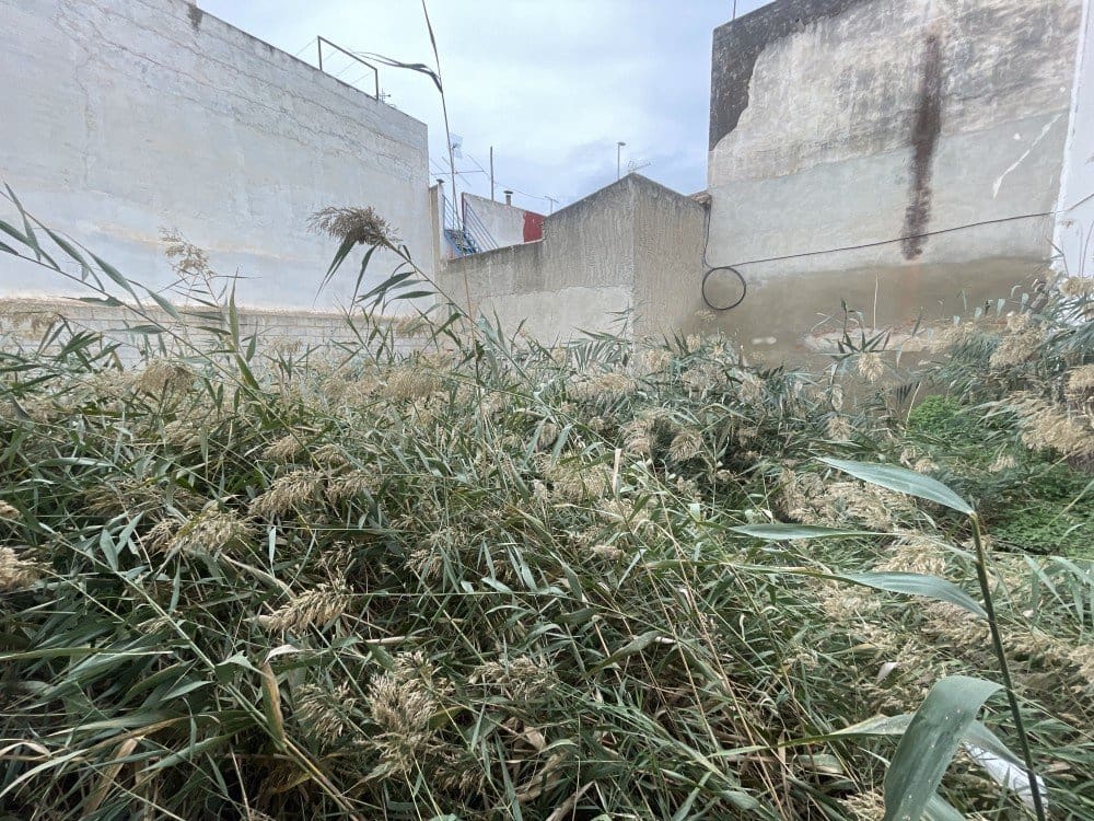 Kommersiell til salgs i Dolores - € 65 500 (Ref: 9438229)