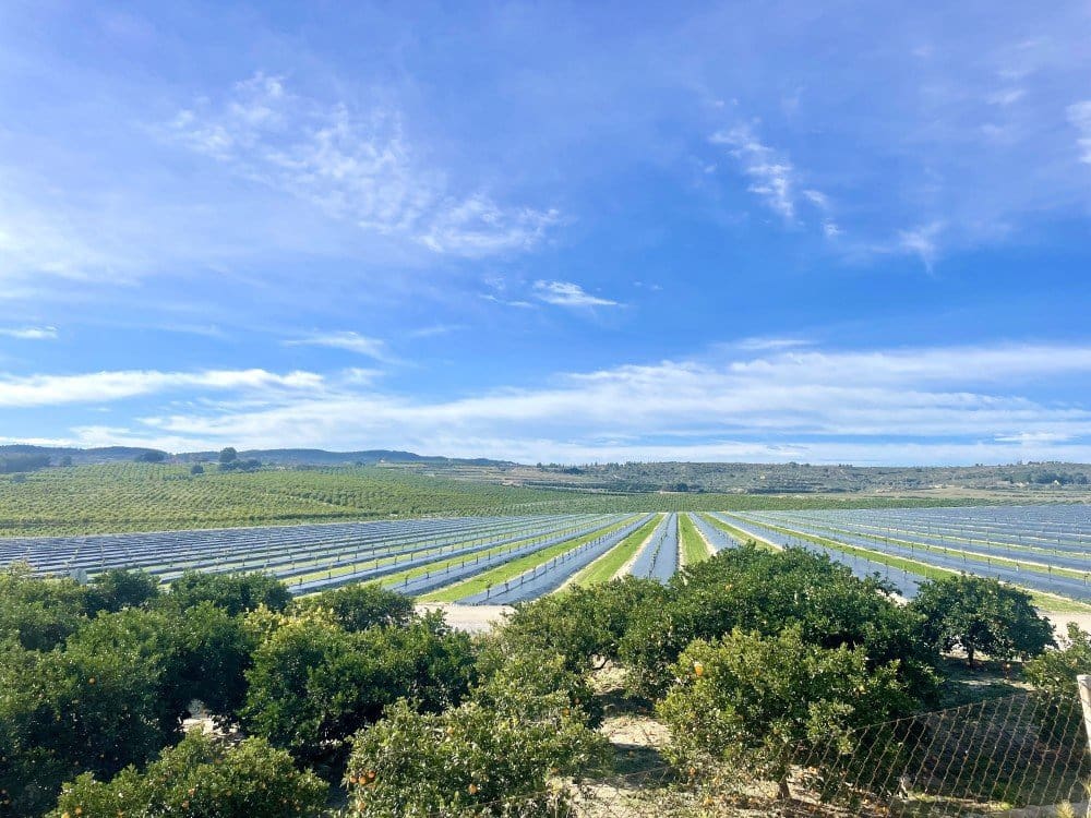 3 soveværelse Lejlighed til salg i Orihuela Costa - € 169.900 (Ref: 9542735)