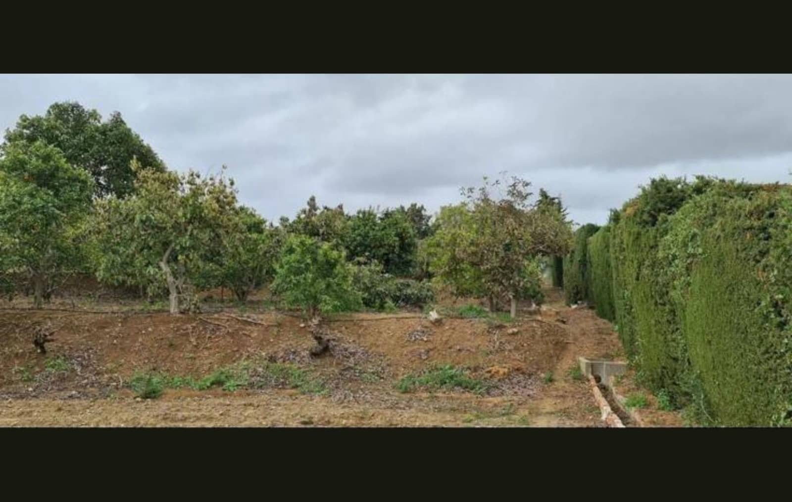 Finca/Landehus til salg i Entrerrios med garage - € 715.000 (Ref: 9433416)