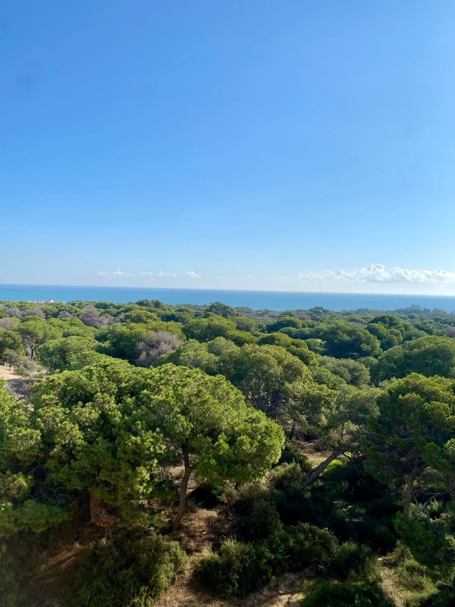 2 bedroom Apartment for sale in Guardamar del Segura - € 318,240 (Ref: 10010198)