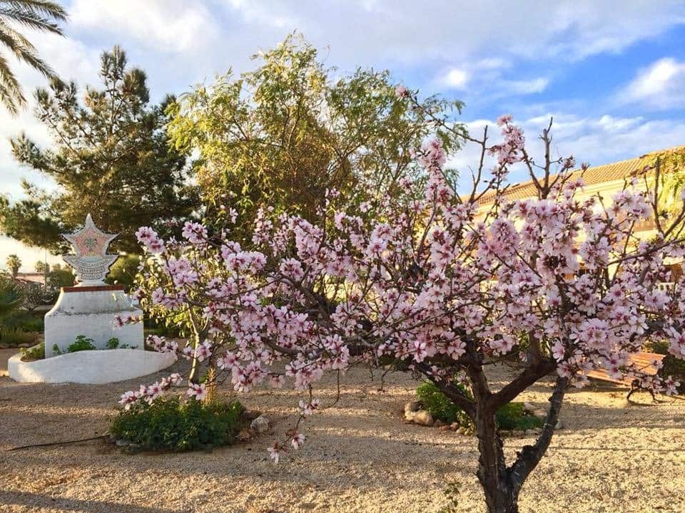 3 Zimmer Villa zu verkaufen in Estrella de Mar mit Pool Garage - 384.000 € (Ref: 10020234)