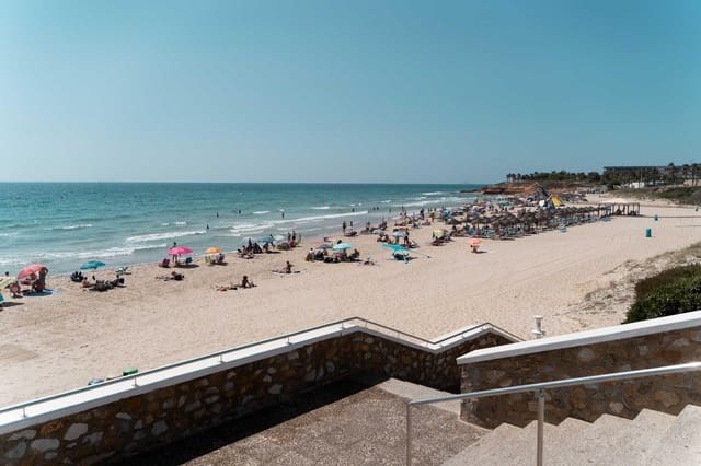Chalet de 3 habitaciones en Mil Palmeras, Pilar de la Horadada en venta con piscina - 559.900 € (Ref: 10029100)